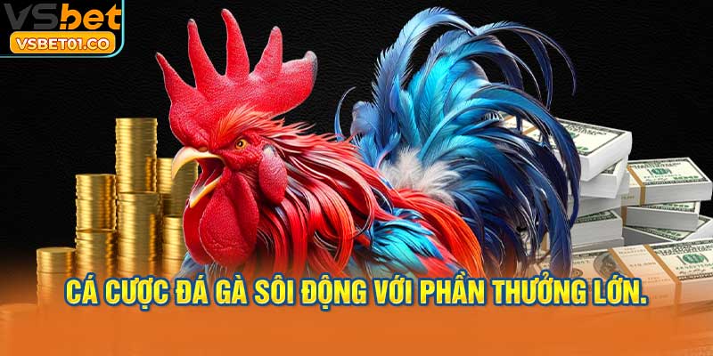 Những màn so tài đỉnh cao và cơ hội đặt cược thông minh.