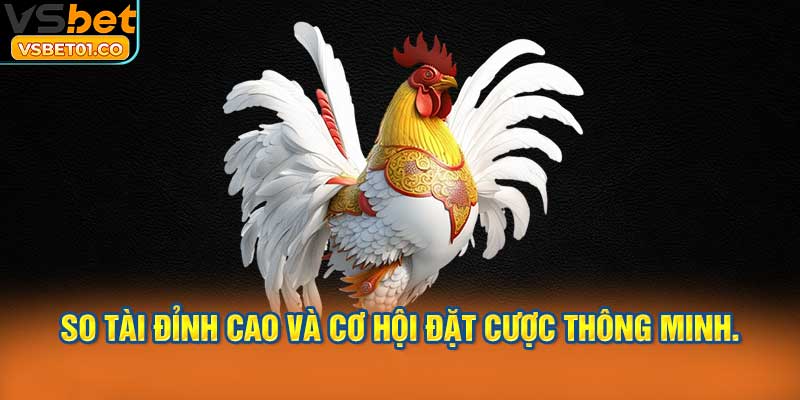 Cá cược đá gà sôi động với phần thưởng lớn.
