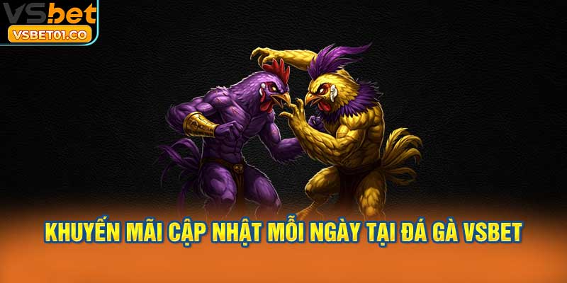 Khuyến mãi hấp dẫn được cập nhật mỗi ngày tại đá gà VSBet