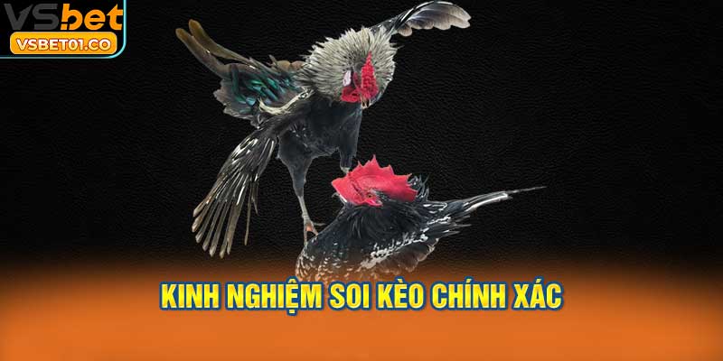 Kinh nghiệm soi kèo