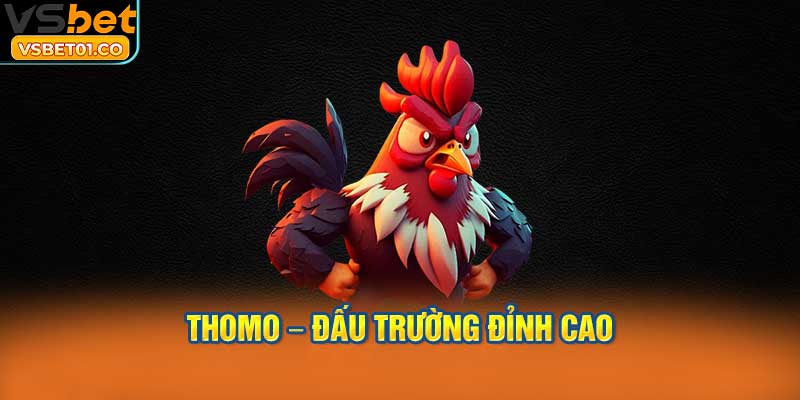 Thomo – đấu trường đỉnh cao cho người mê đá gà tốc độ